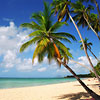 La plus belle plage de Martinique - Photo touristique par excellence !